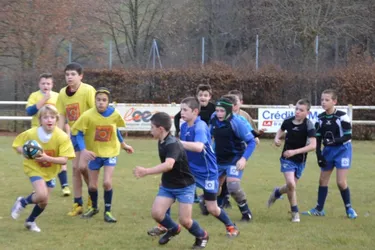 Jeunes : 800 rugbymen au challenge Mizoule