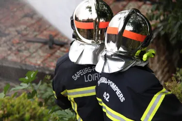 Un couple d'octogénaires évacué après l'incendie de leur maison, à La Monnerie-le-Montel (Puy-de-Dôme)