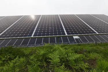 Après le vent, la société Boralex veut miser sur le solaire à Saint-Christophe-sur-Dolaizon