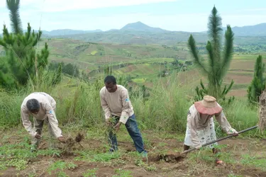 A Madagascar, la Nouvelle-Aquitaine rend la vie des paysans moins rude