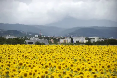 Climat en Auvergne : voilà comment nous vivrons peut-être en 2050