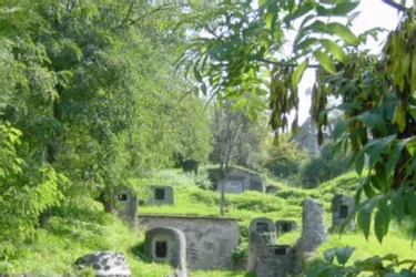 Plus de 900 caves à Aubière (Puy-de-Dôme), un patrimoine hors du commun