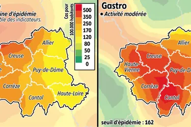 La grippe fait de la résistance en Auvergne/Limousin