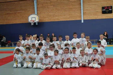 Médailles au Judo-Club du Plateau Bortois