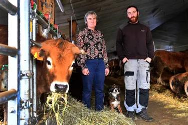 Grâce à Facebook, un élevage aubrac du Puy-de-Dôme à la page en vente directe