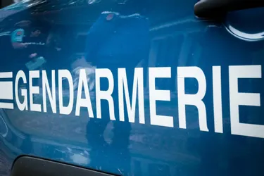 Une quinquagénaire frappe sa fille et outrage des gendarmes à Néris-les-Bains (Allier)
