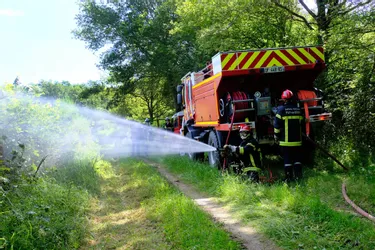 L'exercice feux de forêts à Bègues filmé par le drone des pompiers