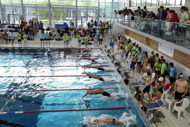 360 lycéens français au stade aquatique
