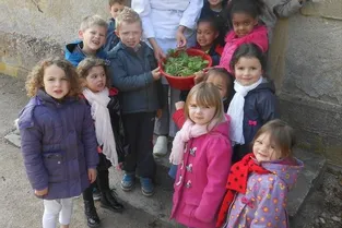 De petits jardiniers à la maternelle