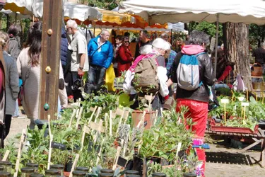 Un grand marché à Langeac (Haute-Loire) pour l’édition 2021 espérée le 16 mai