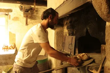 Six fournils bien cachés dans des villages de la Creuse qui produisent du pain bio