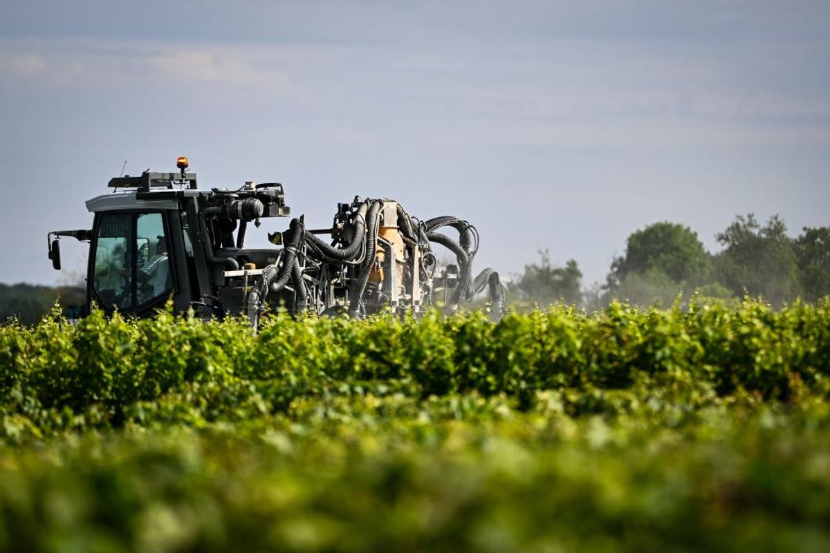 Souveraineté alimentaire, normes… Voici les articles de la loi agricole censurés par le Conseil constitutionnel