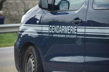 Fillette enlevée dans les Vosges : l'alerte enlèvement levée