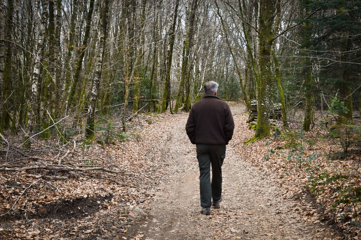 Depuis dix ans, le Groupement forestier du Chat sauvage défend une sylviculture raisonnée autour de Brassy