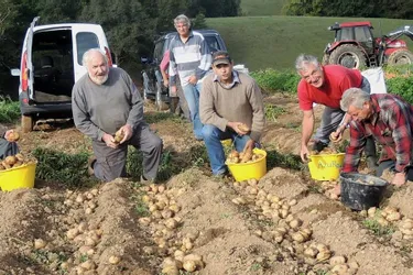 Le secret de la culture de pommes de terre