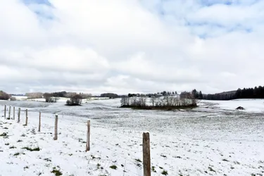 La neige et le froid s'installent en Corrèze : gare aux routes glissantes dans les prochains jours