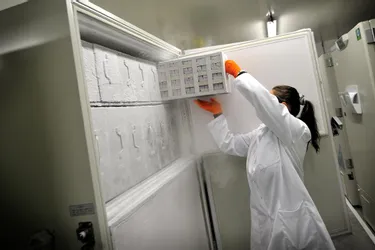 Cell & Co, spécialiste dans la conservation d’échantillons biologiques, fête ses cinq ans