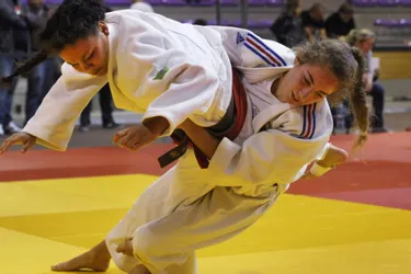 Ceyrat, la capitale auvergnate du judo