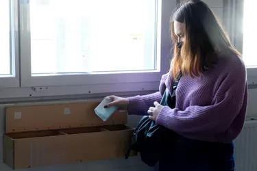 Règles et précarité menstruelle : les actions se multiplient dans les lycées d'Issoire (Puy-de-Dôme)
