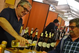 La 17e édition du Salon des vins de France se déroule de vendredi à dimanche à Parentignat