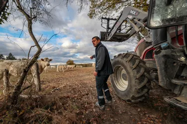 Sécheresse en Creuse : les éleveurs cherchent de quoi nourrir leurs animaux
