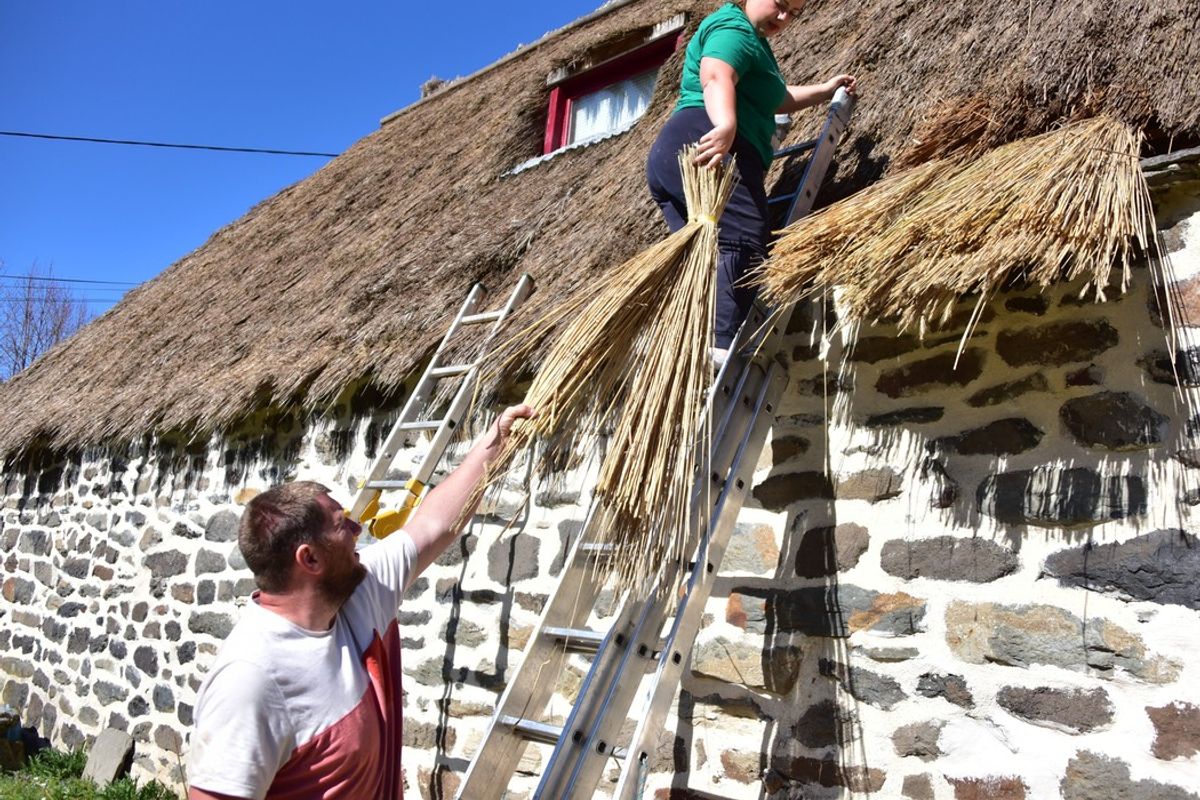 Ces chaumiers de Haute-Loire sont les derniers à maîtriser ce savoir-faire ancestral