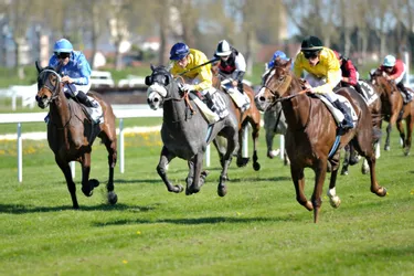 Equitation : 8 courses à Moulins ce dimanche