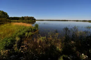 Les promenades autour de l'étang des Landes, à Lussat (Creuse) interdites pendant cinq semaines
