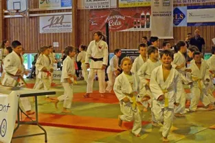 Les judokas au challenge Gauthier