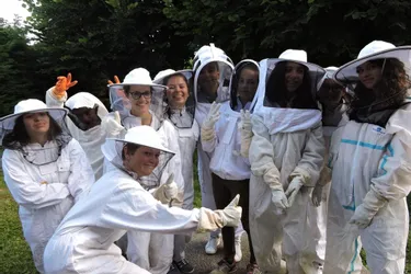 Des ruches installées dans l’enceinte du collège Joliot-Curie