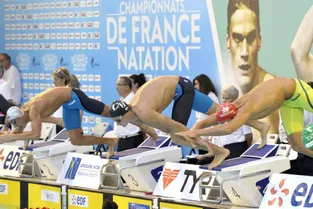 Les championnats de France de natation de retour à Limoges en 2022