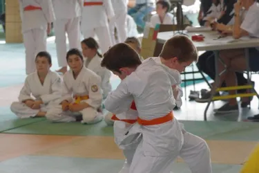 Le Judo-Club castelpontin a organisé