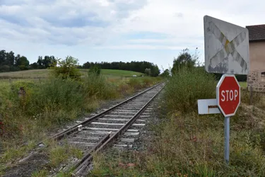 Le Syndicat mixte ferroviaire du Livradois-Forez et Velay cesse le fret et une partie du trafic touristique