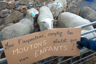 Moutons dans la cour, doudous à l'école... La fermeture d'une classe mobilise les parents à Blesle
