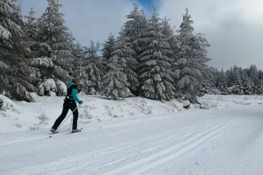 En l'absence de remontées mécaniques, le ski de fond a le vent en poupe dans le Sancy et les monts du Forez