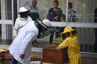 Le salon du miel et des abeilles aura lieu les 25 et 26 septembre à Domérat