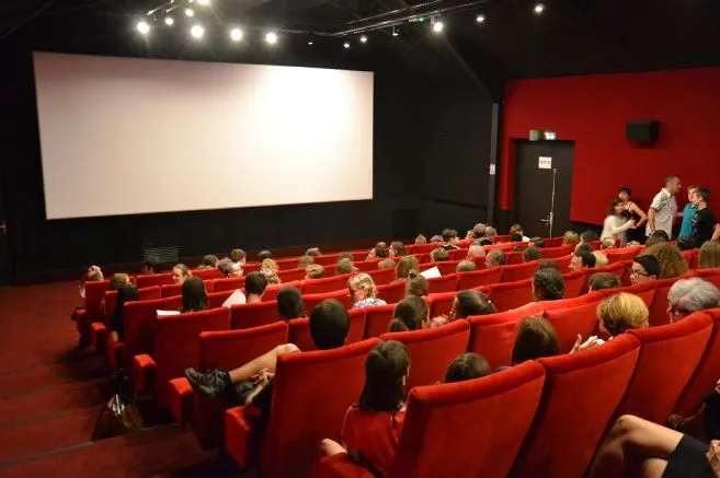 René Fallet Cinema