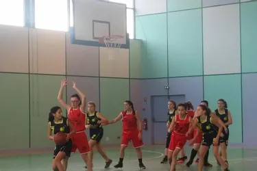 Basket : large victoire des filles contre Doyet (85-34)