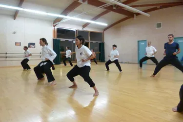 Mes débuts dans l’apprentissage du kung-fu : c'est passionnant mais dur