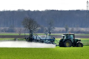 Moins de 4 % des collectivités auvergnates engagées pour l'élimination des pesticides