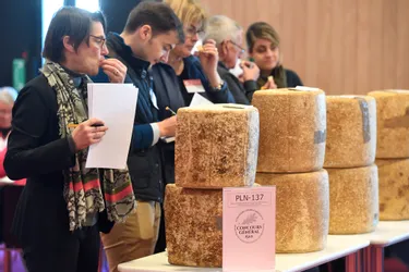 Salon de l'agriculture : les fromages d'Auvergne médaillés au concours général agricole