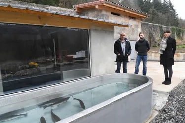 Stéphane Heinis, pisciculteur à Ardes-sur-Couze, propose de la truite haut de gamme