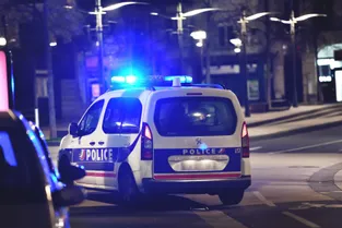 Rattrapés par la police après avoir volé un jeune épagneul breton en pleine rue à Clermont-Ferrand