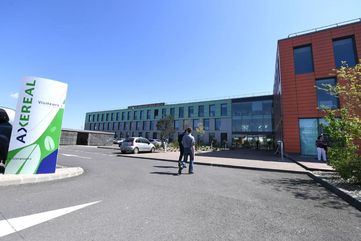 un-surco-t-de-plusieurs-millions-d-euros-pour-ax-r-al-cause-des