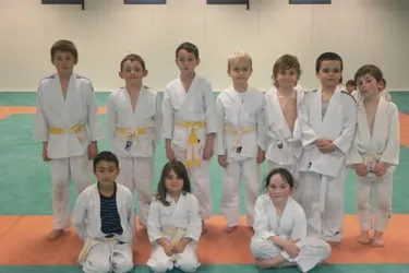 Les jeunes judokas dominent le challenge