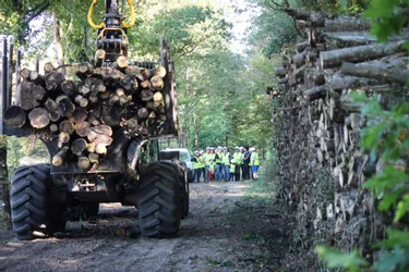 La filière forêt-bois peine à recruter : elle a organisé une visite de chantier forestier pour les demandeurs d’emploi à Cunlhat (Puy-de-Dôme)