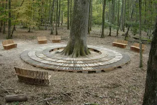 Un banc, élément d'une structure artistique, volé en forêt de Tronçais (Allier) : « Je trouve ça vraiment déplorable ! »