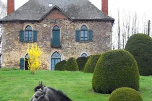 Sami, le cheval offert à François Hollande, placé aux Haras de Pompadour