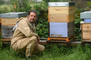 Ancien fauconnier, Cédric Legon se lance dans la sélection de reines des abeilles dans le Cantal