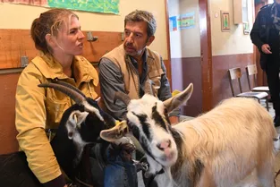 Quand le médecin joue les vétérinaires : on a rencontré Michel Cymes, en tournage à Besse (Puy-de-Dôme)